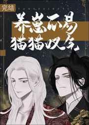 开局先杀男主（快穿）