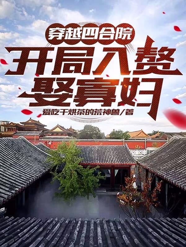 风流村封面