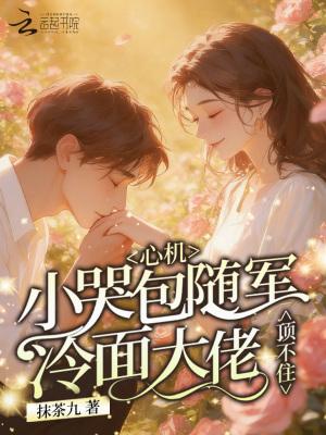 渡劫失败的我只能回大明当王爷封面