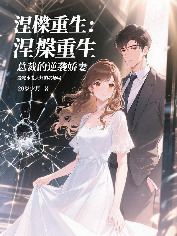 北翼之盟封面