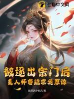 北魏镇龙使