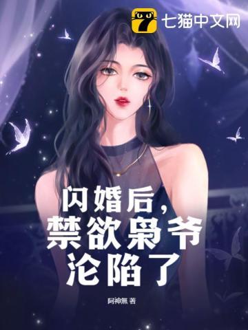 亮剑之智将丁伟封面
