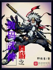 吾岸：重生的爱恋封面