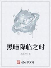凤引天下封面