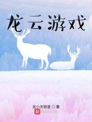 寻龙笔记封面