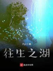 何良传封面