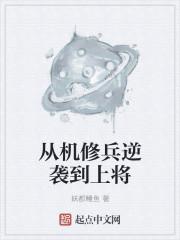 苍凉之歌封面