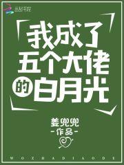 陷落绯色封面