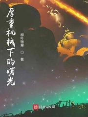 金殿锁娇封面