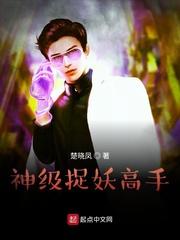 张文书陆沉沉封面