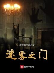 沈念 傅景淮小说封面