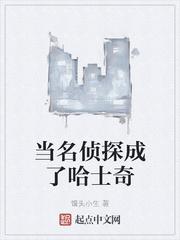 池砚舟沈今安封面