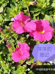 离语