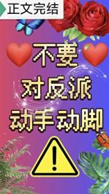 紈絝小将军