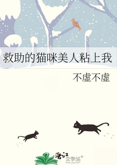 红楼之进击的政老爷