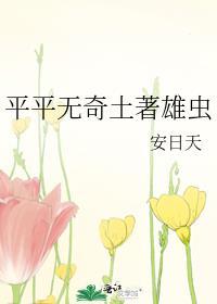 就算在猎人也要继承彭格列!