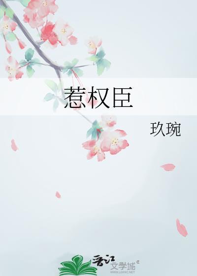 昭昭风华封面